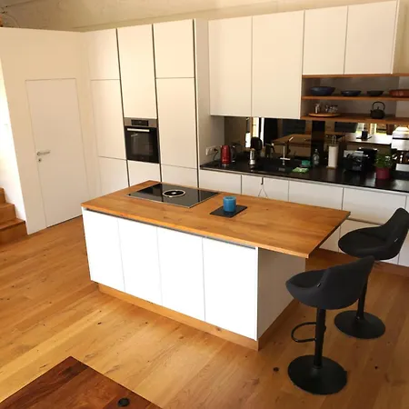 Aussergewoehnliche Loft-wohnung In Einer Alten Barons Mit Suedterrasse Und Privatem Garten *