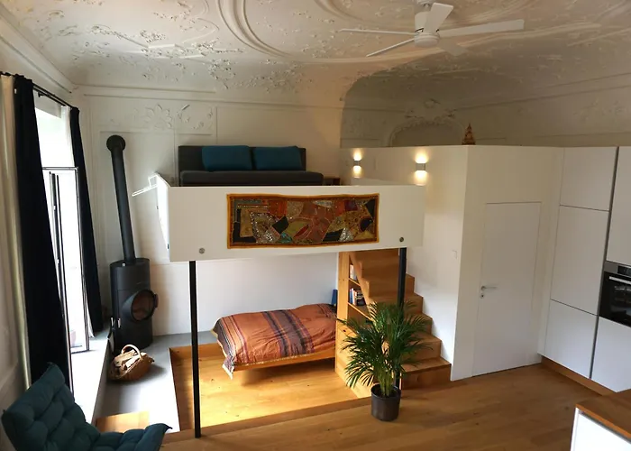 Aussergewoehnliche Loft-wohnung In Einer Alten Barons Mit Suedterrasse Und Privatem Garten Apartment *